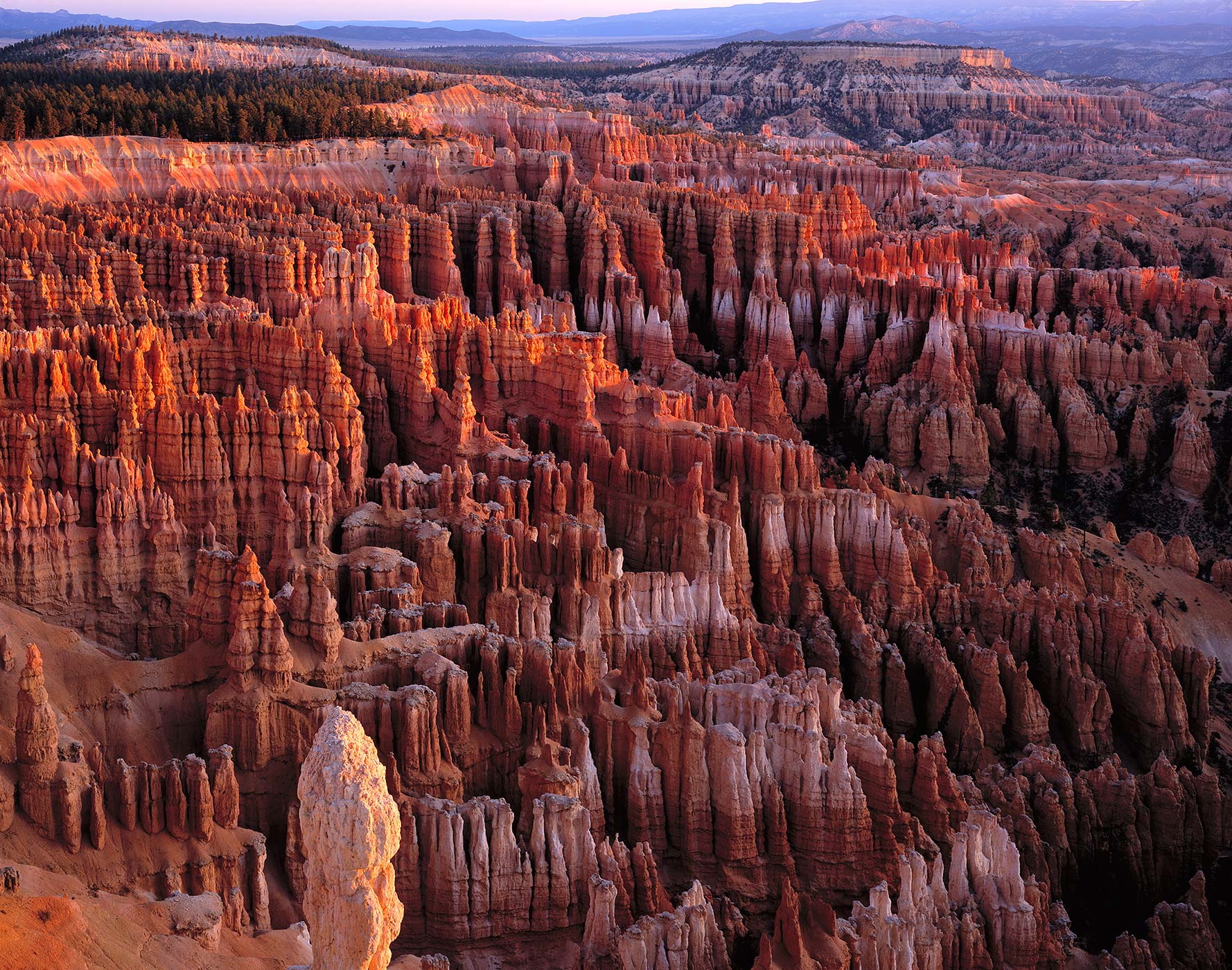1023 Bryce Amphitheater, Sunrise, Bryce Canyon National Park, Utah