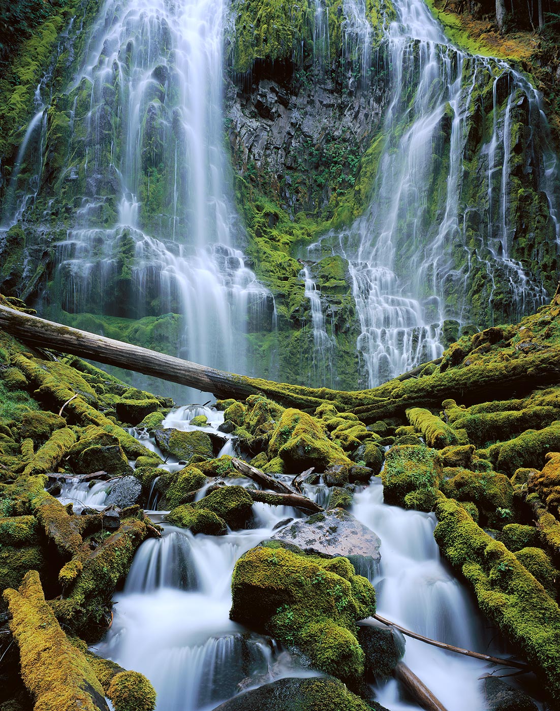 1204 Proxy Falls, Willamette National Forest, Oregon | Bryan David ...