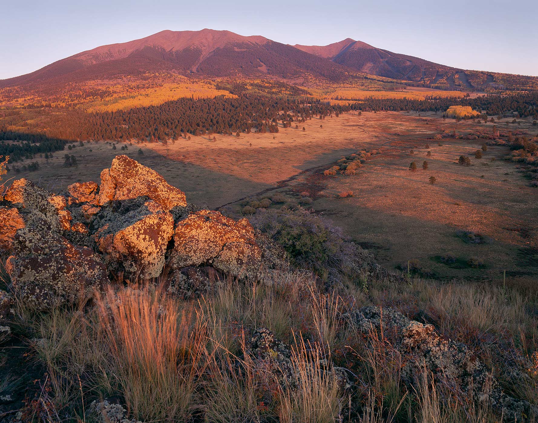 402 San Francisco Peaks in Autumn, Coconino National Forest, Arizona