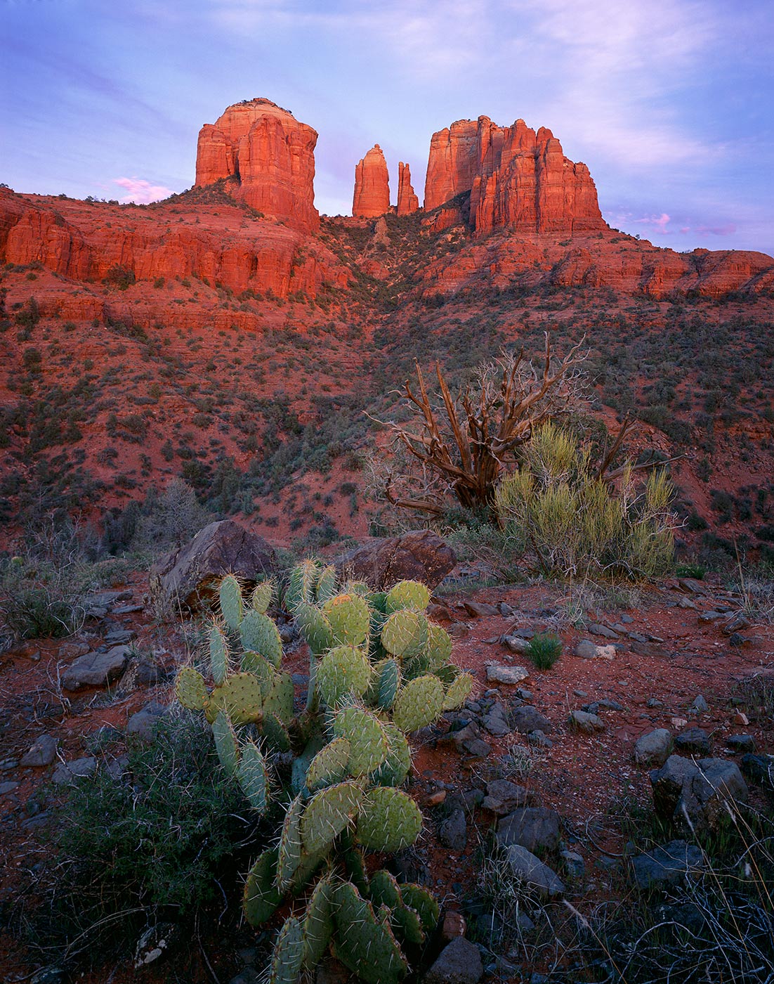 425 Cathedral Rock & Prickly Pear, Coconino National Forest, Arizona