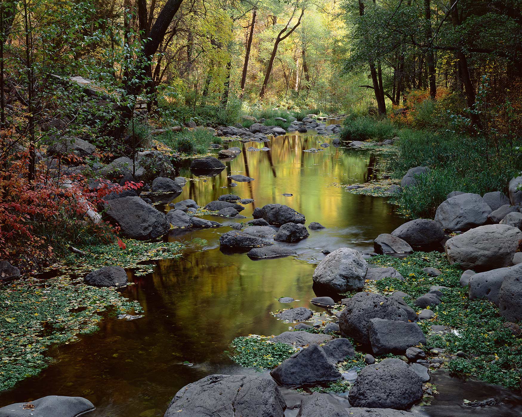 734 Oak Creek, Autumn, Coconino National Forest, Arizona